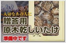 贈答用原木乾しいたけ