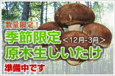 季節限定原木生しいたけ